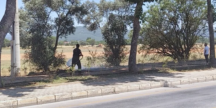 İzmarit önce otları, sonra ahırı yaktı