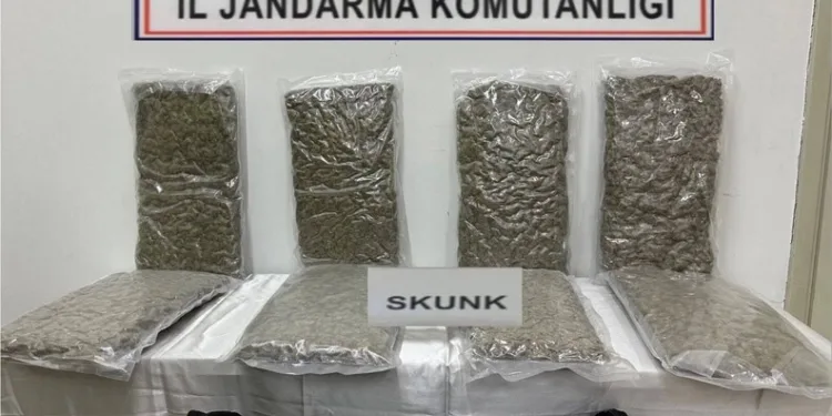 Gümüşhane’de KKKA hastalığı nedeniyle bir kişi hayatını kaybetti
