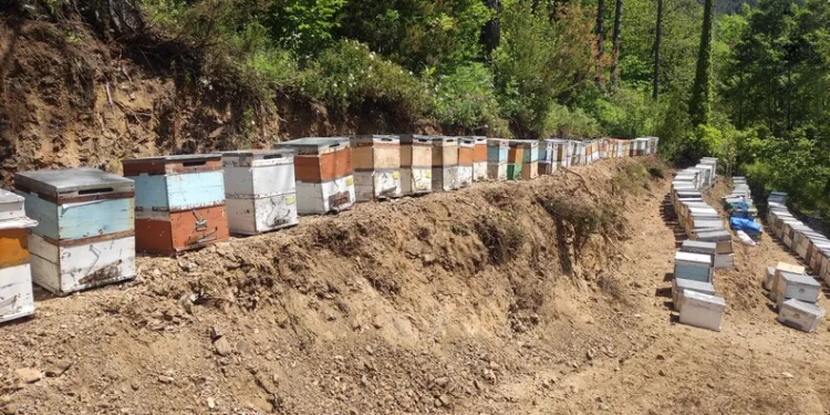 Ordu’da dron destekli trafik denetimi