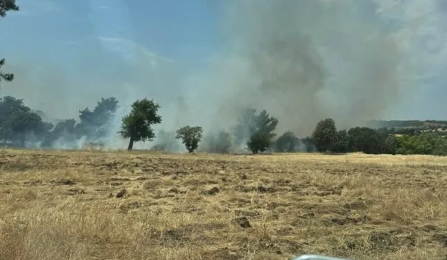 Akhisar’da başlayan orman yangınına müdahale devam ediyor