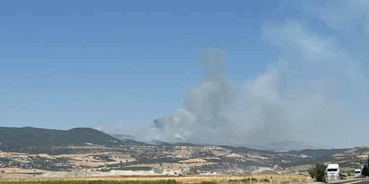 Akhisar’da başlayan orman yangınına müdahale devam ediyor