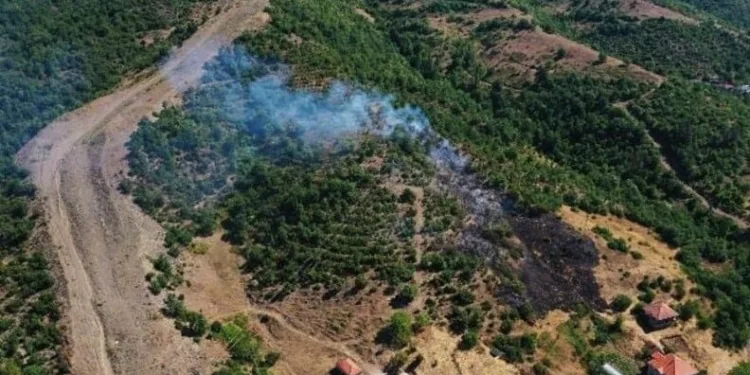 Akhisar’da başlayan orman yangınına müdahale devam ediyor