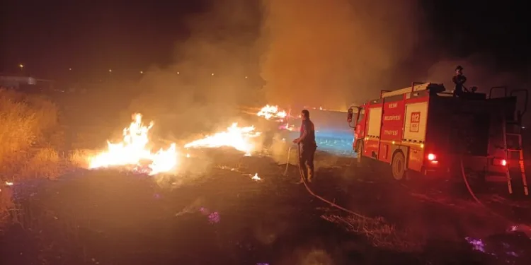 Akhisar’da başlayan orman yangınına müdahale devam ediyor