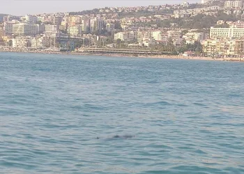 Kuşadası’nda denizde ceset bulundu