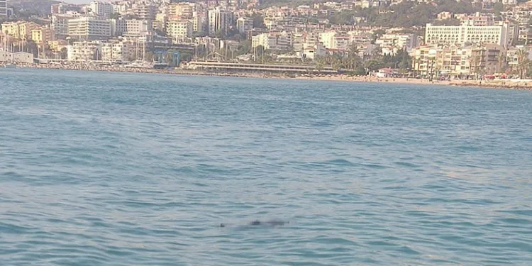 Kuşadası’nda denizde ceset bulundu