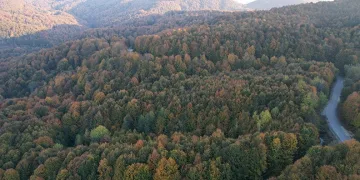 Zonguldak’ta ormanlara girişler yasaklandı