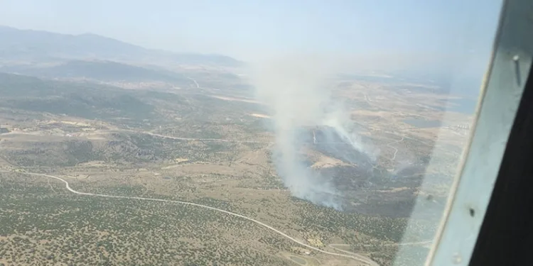 Aliağa’da ziraat arazilerinde yangın