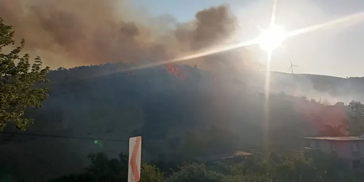 Hatay’da orman yangını