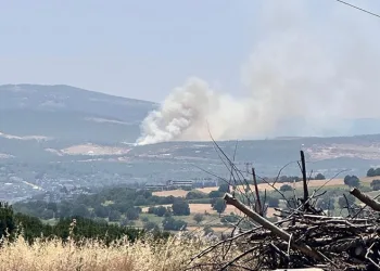 Orhaneli Girencik Köyü’nde Orman Yangını: Tahliye Başladı, Kontrol altına alındı