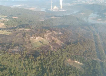 Bursa’daki yangın söndürüldü, yeşil orman griye döndü