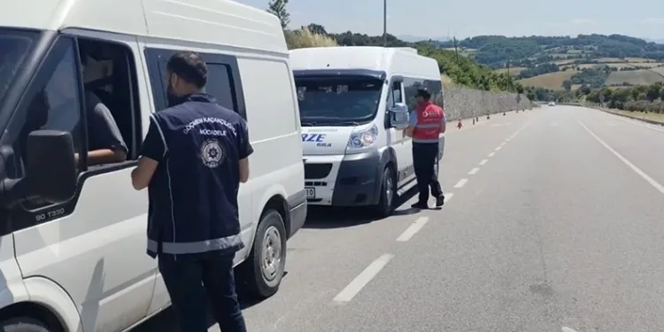 15 organizatör ve 446 göçmen yakalandı