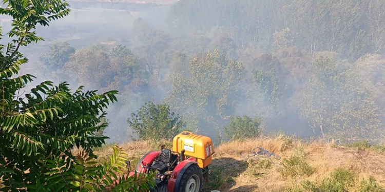 Eskişehir’de ağaçlık alanda yangın