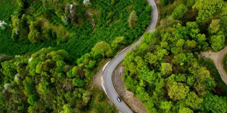Düzce’de ormanlık alanlara girişler yasaklandı