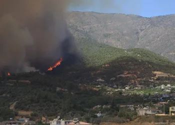 Mersin Mut’ta orman yangını