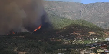 Mersin Mut’ta orman yangını