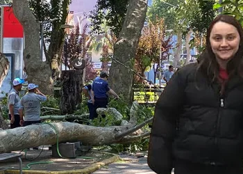 Üzerine ağaç dalı düşen genç kız hayatını kaybetti