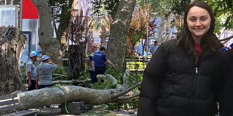 Üzerine ağaç dalı düşen genç kız hayatını kaybetti