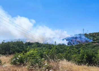 Bursa Mustafakemalpaşa Alacaat’ta Orman Yangını!