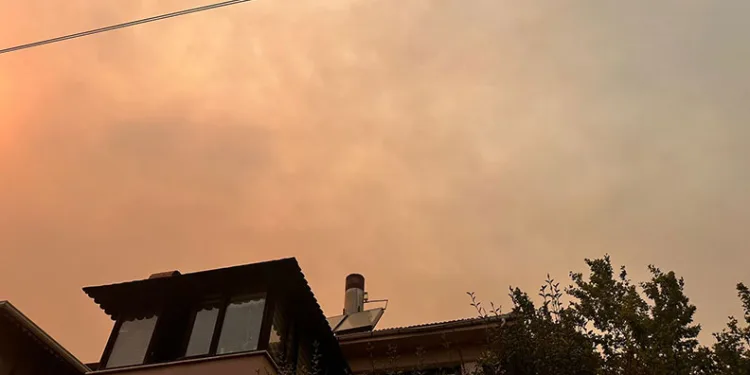 Bilecik’e kül yağıyor