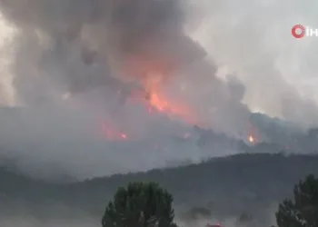 Eskişehir’deki orman yangını faciasında 10 şehit