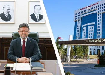 Şap Nedeniyle Hayvan Satışları Durduruldu