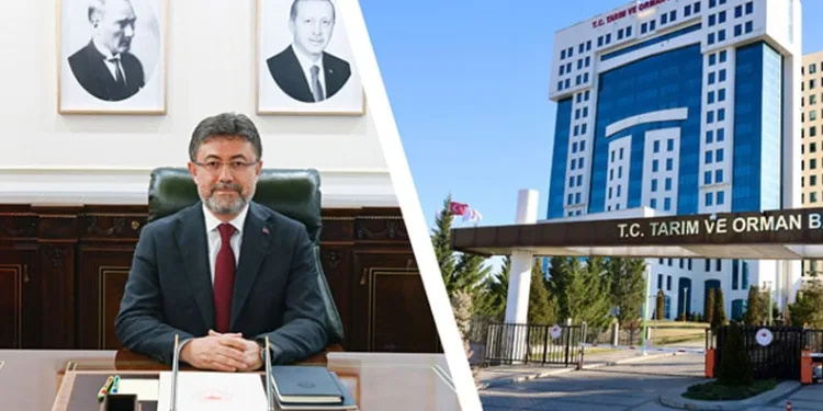 Şap Nedeniyle Hayvan Satışları Durduruldu