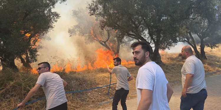 Bursa’da 20 zeytin ağacı yandı: 2 çocuk gözaltında
