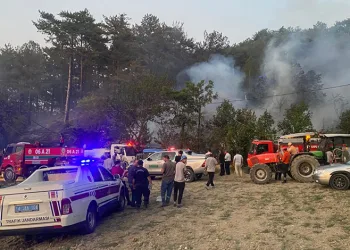 Bolu’daki orman yangını kontrol altında