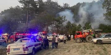Bolu’daki orman yangını kontrol altında