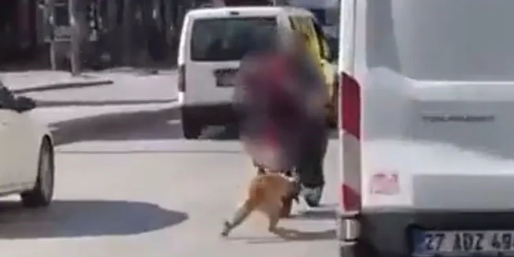 Köpeği motosikletin arkasına bağlayıp sürüklediler