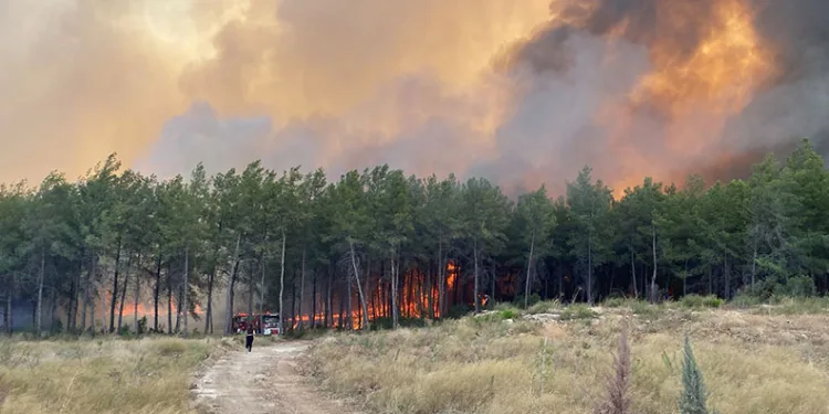 Antalya’da üç ilçede orman yangını