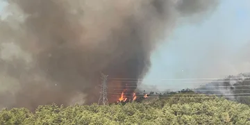 Hatay’daki orman yangını 24 saattir sürüyor