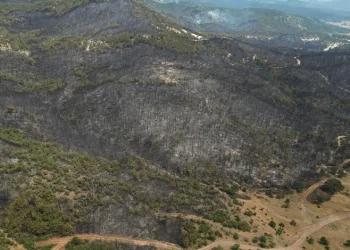 Eskişehir yangın bölgesinde inceleme başlatıldı