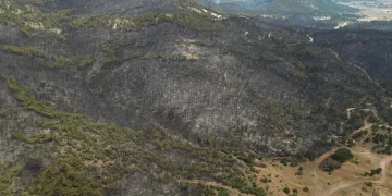 Eskişehir yangın bölgesinde inceleme başlatıldı
