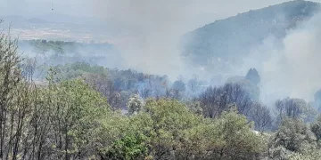 Muğla’daki yangın Stratonikia Antik kentindeki zirai alanda etkili oluyor