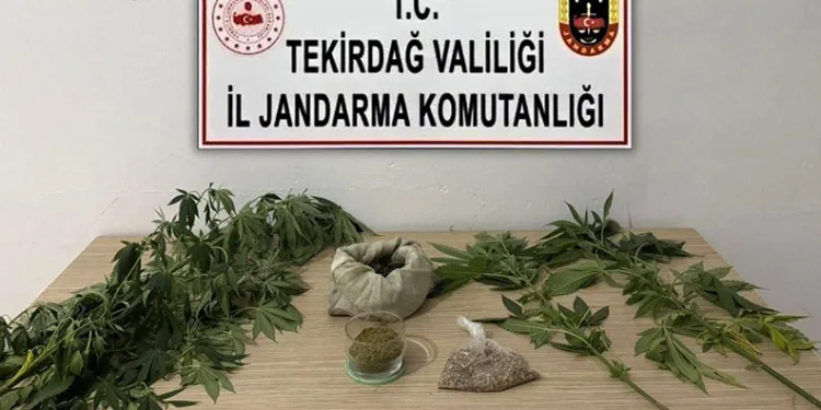 Tekirdağ’da jandarmadan 6 ayrı uyuşturucu operasyonu