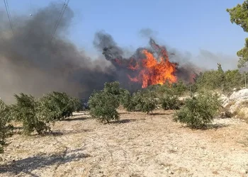 Mersin’de orman yangını: 4 mahalle boşaltıldı