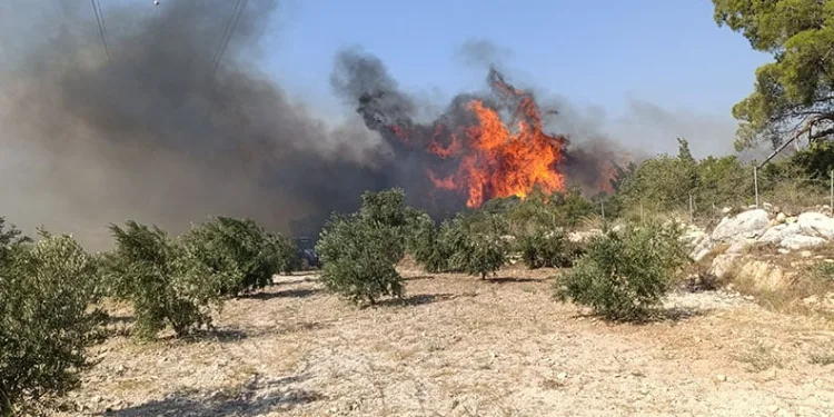 Mersin’de orman yangını: 4 mahalle boşaltıldı