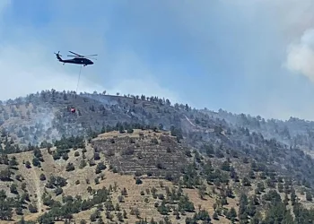 Ankara’da ormanlık alanda yangın çıktı