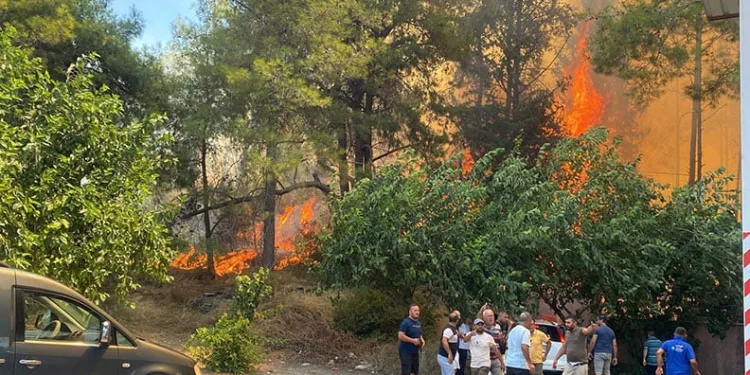 Antalya’da ormanlık alanda yangın paniği