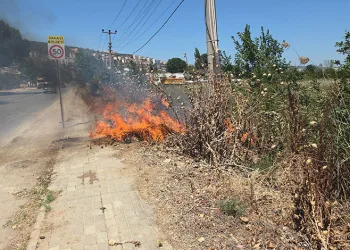 Bursa’da otluk alanda korkutan yangın