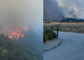 Bursa’nın ciğerleri yanıyor