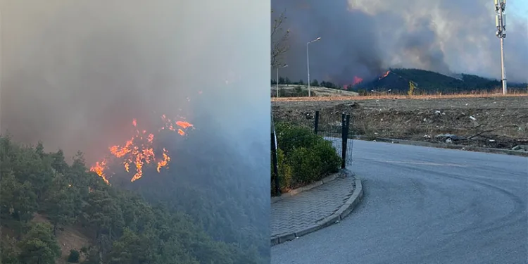 Bursa’nın ciğerleri yanıyor