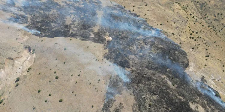 Malatya’da dağlık alanda çıkan yangın havadan görüntülendi