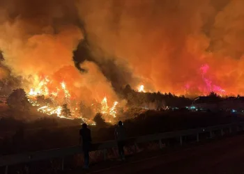 Bursa’daki orman yangınlarına destek