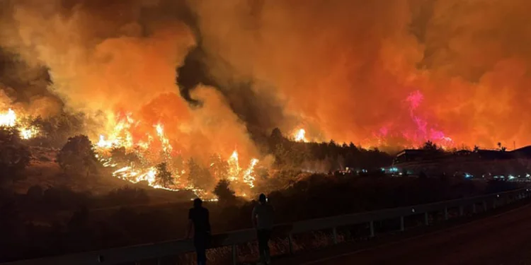 Bursa’daki orman yangınlarına destek