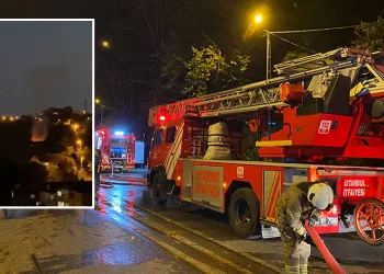 İstanbul’da ağaçlık alanda yangın: “Eğlenmek için fişek attım”
