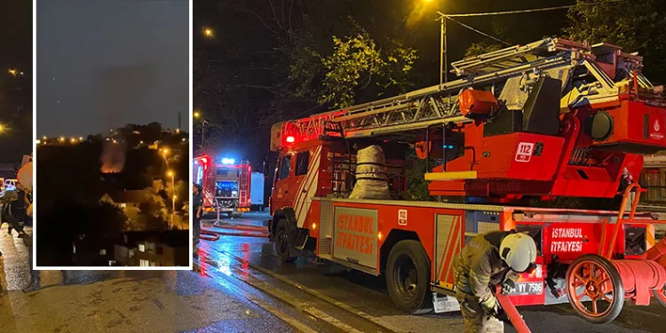 İstanbul’da ağaçlık alanda yangın: “Eğlenmek için fişek attım”