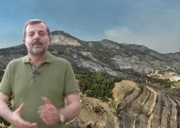 Gürsu’da ağaçlandırma seferberliği açıklaması