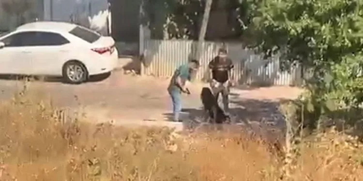 Eski sevgilisinin başına silah dayayıp darp etti